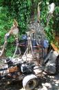 Laboratoire Botanique en Floraferrie 5 * 5184 x 3456 * (8.37MB)